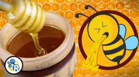 Did You Know Honey is Really Bee Puke?: asset-mezzanine-16x9