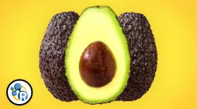 Why Are Avocados So Awesome?: asset-mezzanine-16x9