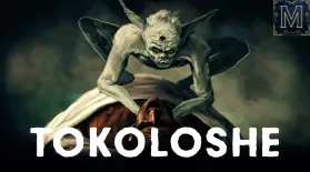 Blame the Tokoloshe! South Africa’s Most Notorious Goblin: asset-mezzanine-16x9