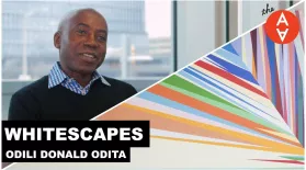 Whitescapes - Odili Donald Odita | The Art Assignment | PBS: asset-mezzanine-16x9