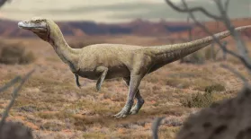 When Dinosaur Look-Alikes Ruled the Earth: asset-mezzanine-16x9