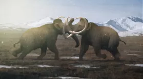 Why Male Mammoths Lost the Game (w/ TierZoo!): asset-mezzanine-16x9
