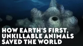 How Earth's First, Unkillable Animals Saved the World: asset-mezzanine-16x9