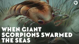 When Giant Scorpions Swarmed the Seas: asset-mezzanine-16x9