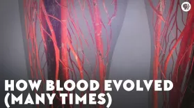 How Blood Evolved (Many Times): asset-mezzanine-16x9