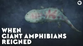 When Giant Amphibians Reigned: asset-mezzanine-16x9