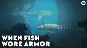 When Fish Wore Armor: asset-mezzanine-16x9
