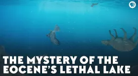 The Mystery of the Eocene’s Lethal Lake: asset-mezzanine-16x9