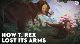 How the T-Rex Lost Its Arms: asset-mezzanine-16x9