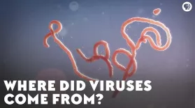 Where Did Viruses Come From?: asset-mezzanine-16x9