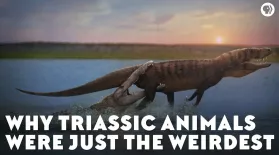 Why Triassic Animals Were Just the Weirdest: asset-mezzanine-16x9