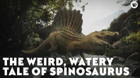 The Weird, Watery Tale of Spinosaurus: asset-mezzanine-16x9