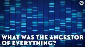 What Was the Ancestor of Everything?: asset-mezzanine-16x9