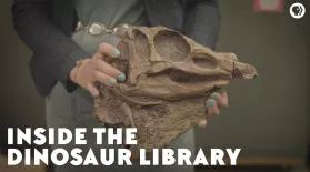 Inside the Dinosaur Library: asset-mezzanine-16x9