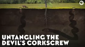 Untangling the Devil's Corkscrew: asset-mezzanine-16x9