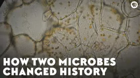 How Two Microbes Changed History: asset-mezzanine-16x9