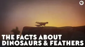 The Facts About Dinosaurs & Feathers: asset-mezzanine-16x9