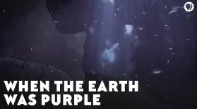 When The Earth Was Purple: asset-mezzanine-16x9