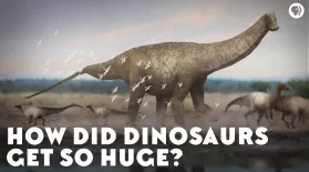 How Did Dinosaurs Get So Huge?: asset-mezzanine-16x9