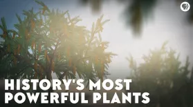 History's Most Powerful Plants: asset-mezzanine-16x9