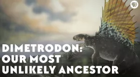 Dimetrodon: Our Most Unlikely Ancestor: asset-mezzanine-16x9