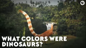 What Colors Were Dinosaurs?: asset-mezzanine-16x9