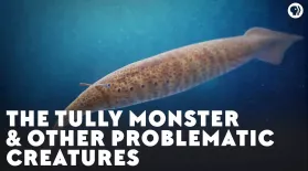 The Tully Monster & Other Problematic Creatures: asset-mezzanine-16x9