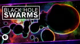 Black Hole Swarms: asset-mezzanine-16x9