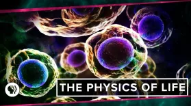The Physics of Life (ft. It's Okay to be Smart & PBS Eons!): asset-mezzanine-16x9