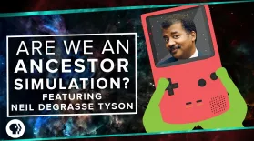 Are We Living in an Ancestor Simulation? ft. Neil deGrasse T: asset-mezzanine-16x9
