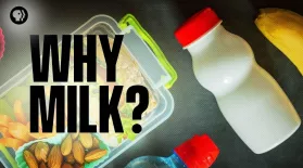 Why Do We Drink Milk in School?: asset-mezzanine-16x9