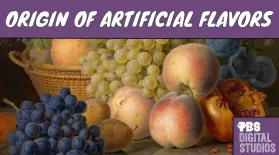 Why Do We Eat Artificial Flavors?: asset-mezzanine-16x9