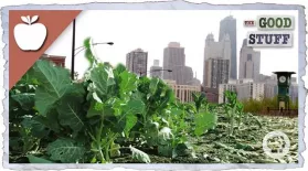 Why We Should Be Urban Farming: asset-mezzanine-16x9