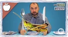 Why You Should Eat Bugs: asset-mezzanine-16x9