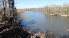 Grass, Easter Eggs and the Congaree Bluffs heritage Preserve: asset-mezzanine-16x9