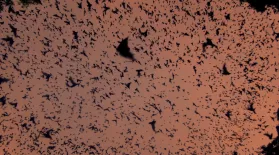Bat Volcano Erupts at Night: asset-mezzanine-16x9