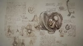 Leonardo's anatomical drawings : asset-mezzanine-16x9