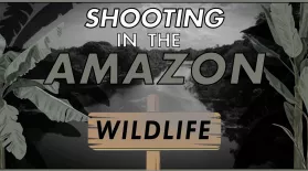 Filming with Wildlife: asset-mezzanine-16x9