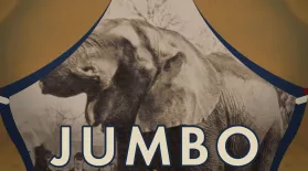 Jumbo: The Elephant: asset-mezzanine-16x9