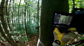 Filmmakers Travel to Poland to Capture "Coolest" Woodpeckers: asset-mezzanine-16x9