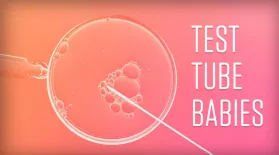 Test Tube Babies: asset-mezzanine-16x9