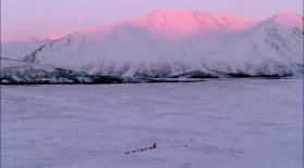 Sled Dogs: An Alaskan Epic: asset-mezzanine-16x9