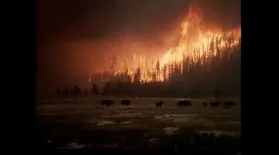 Yellowstone on Fire: asset-mezzanine-16x9