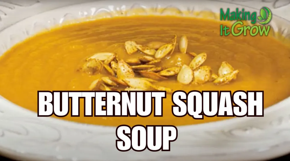 Butternut Squash Soup