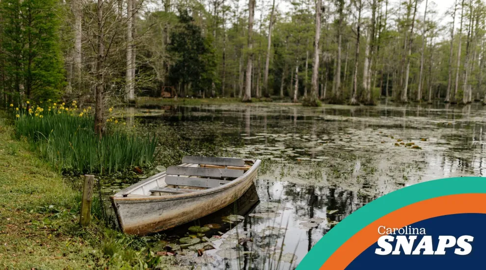 Cypress Gardens, The Notebook Carolina Snaps