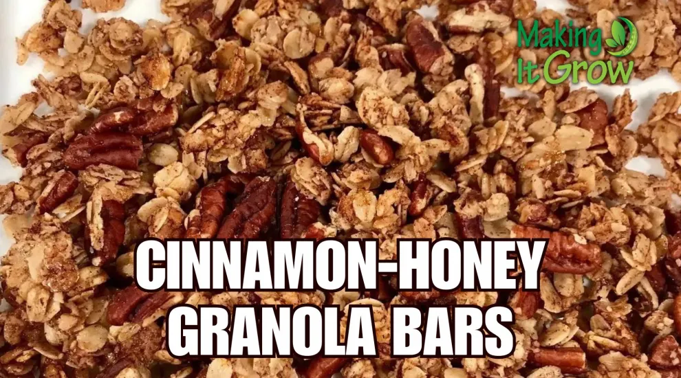 Cinnamon-Honey Granola Bars