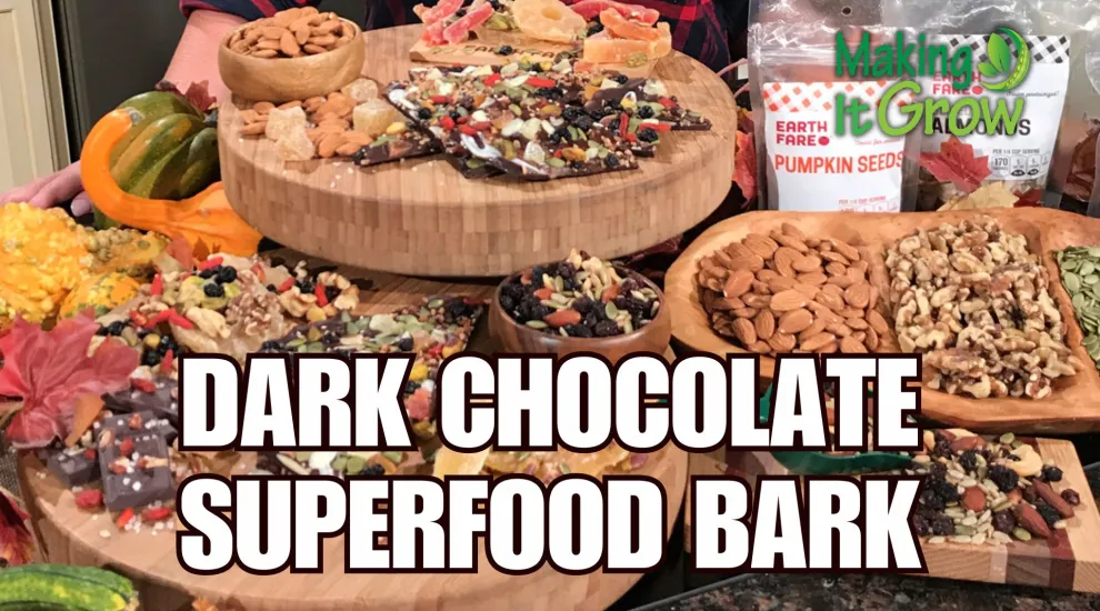 Dark Chocolate Superfood Bark