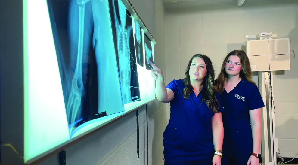 image of two medical professionals reviewing results from an x-ray