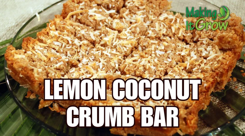 Lemon Coconut Crumb Bar