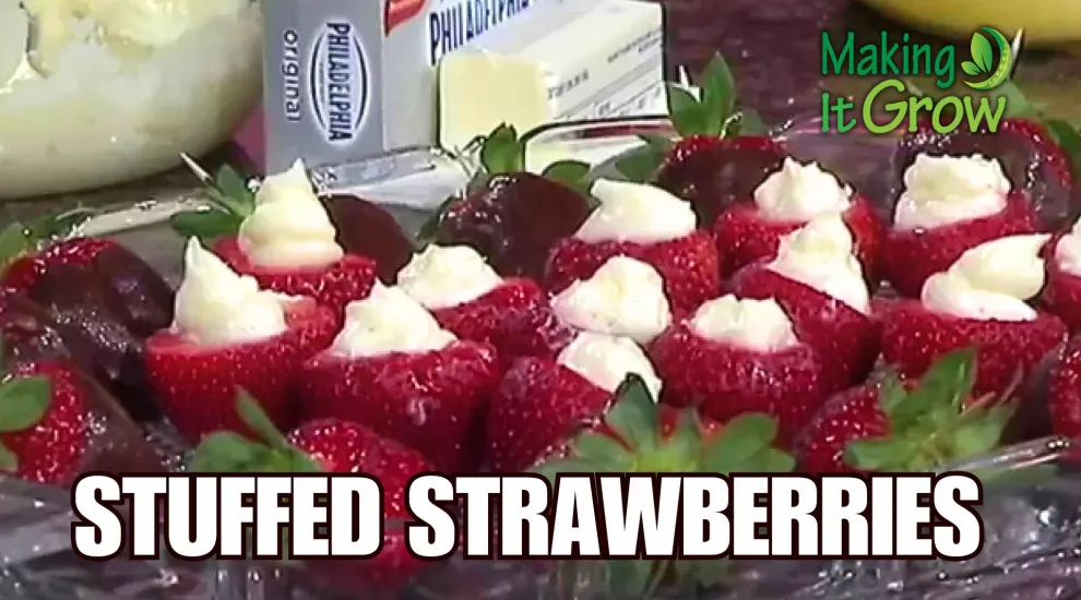 McLeod Farms Strawberry Recipes